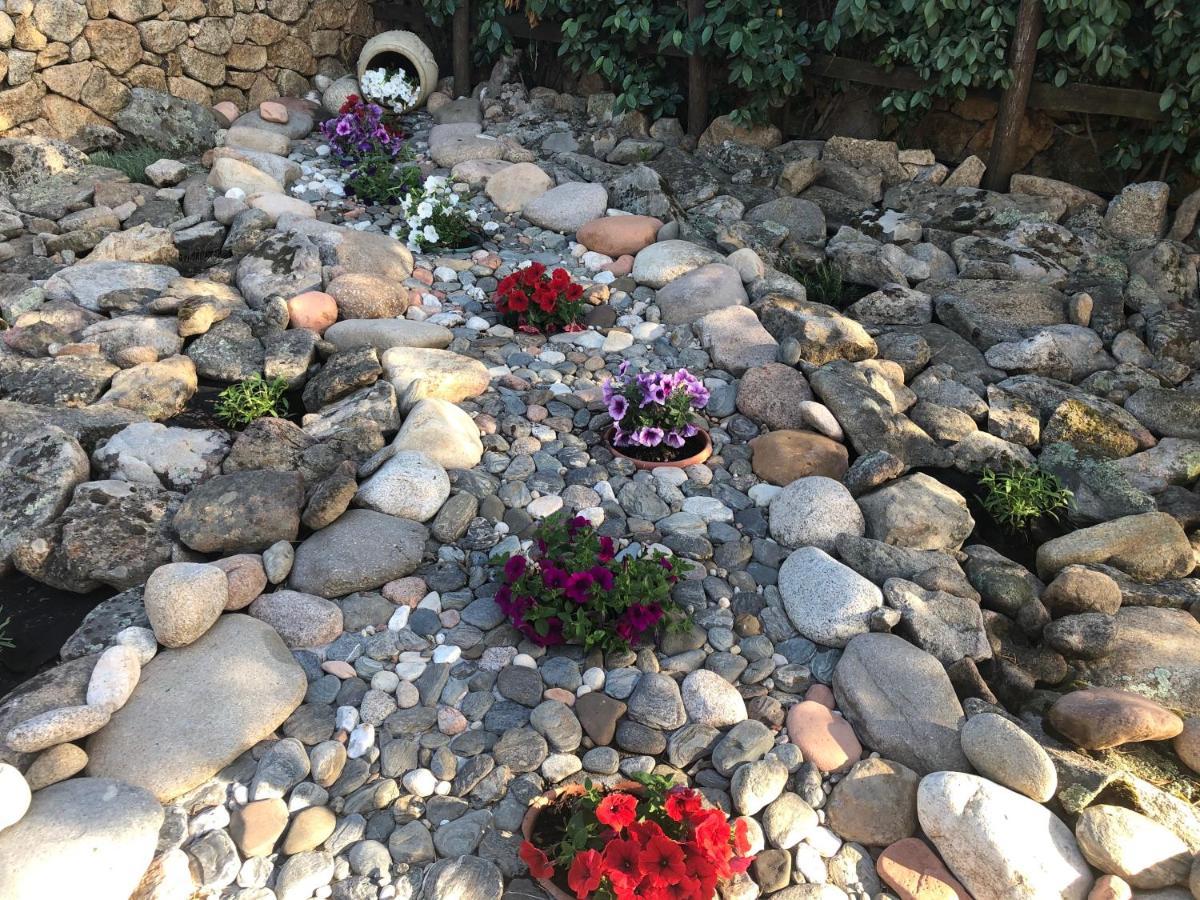 Villa Peonia 布多尼 外观 照片