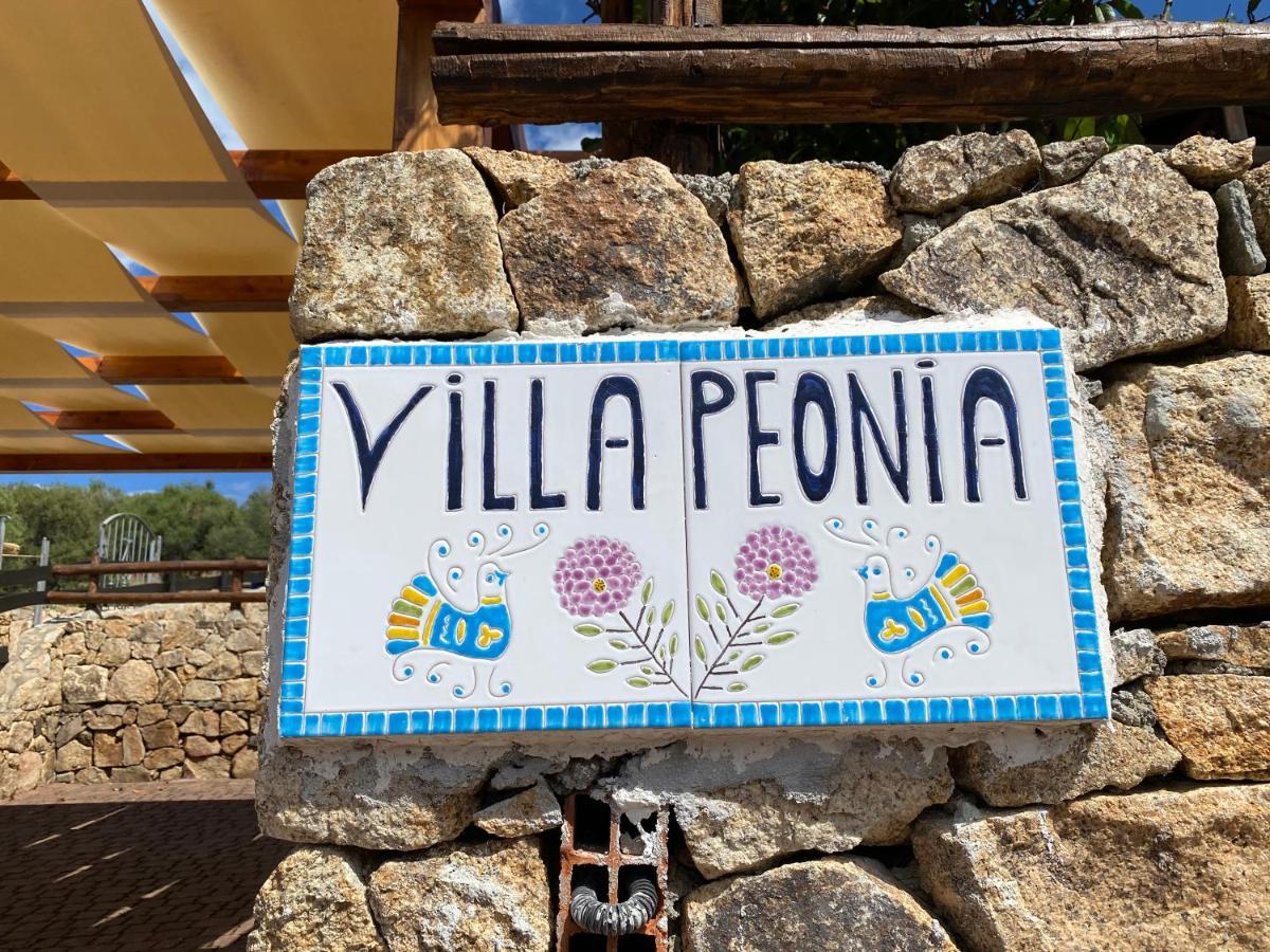 Villa Peonia 布多尼 外观 照片